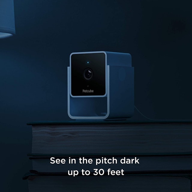 Pet Camera 5