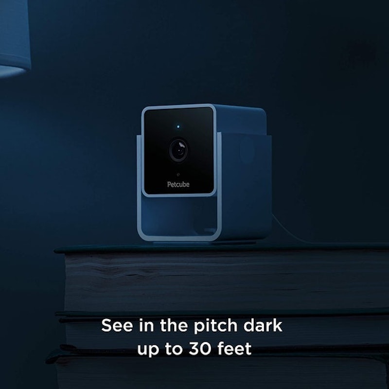 Pet Camera 5