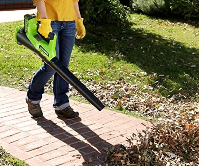 Axial Cordless Leaf Blower 2