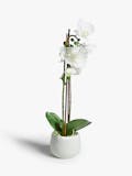 10 Best Artificial Plants UK 2024 5