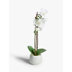 6. House by John Lewis Artificial Orchid – White, Large