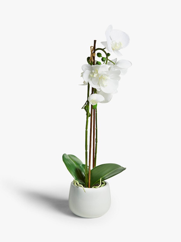 6. House by John Lewis Artificial Orchid – White, Large 1