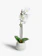 House by John Lewis 6. House by John Lewis Artificial Orchid – White, Large 1