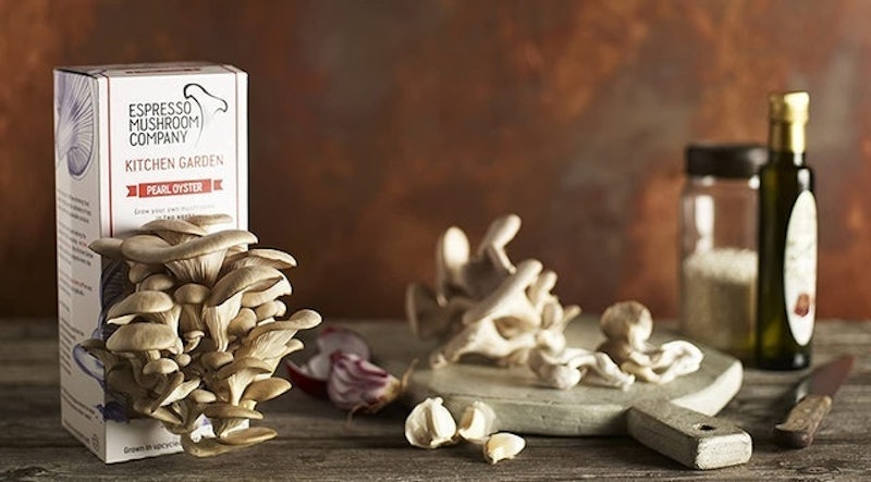 Pearl Oyster Kitchen Garden 3