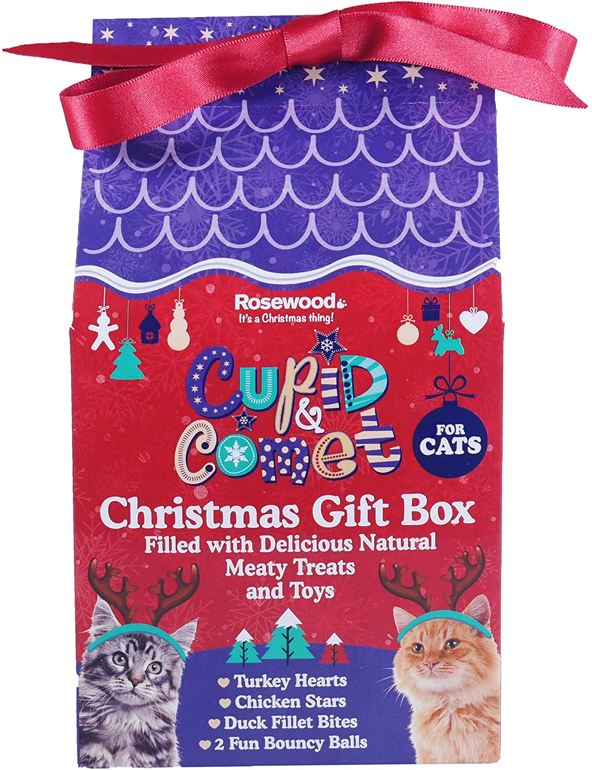 Festive Cat Treats Box 1