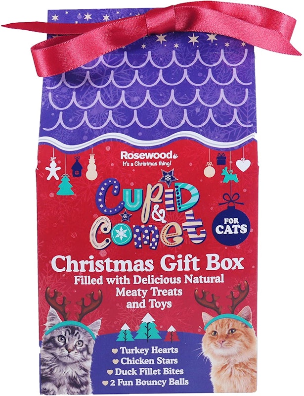 Festive Cat Treats Box 1