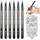 APOGO Calligraphy Pens (Pack of 6) 1