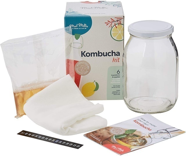 Kombucha Kit 1