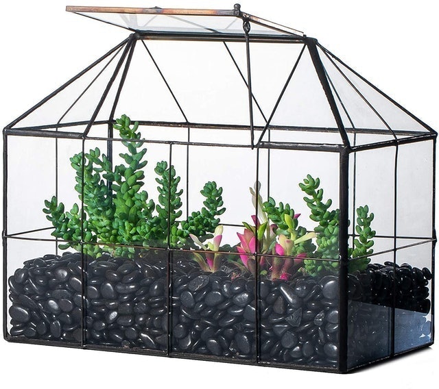Vintage Style Geometric Terrarium 1