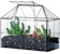 NCYP Vintage Style Geometric Terrarium 1