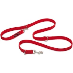 Training Lead for Dogs