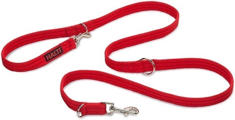 Training Lead for Dogs 1