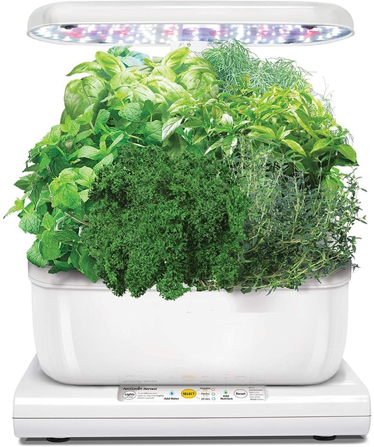 AeroGarden Harvest  1