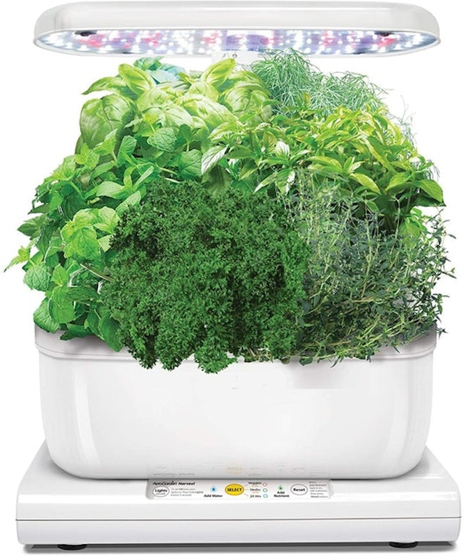 AeroGarden Harvest 1