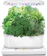 AeroGrow AeroGarden Harvest 1