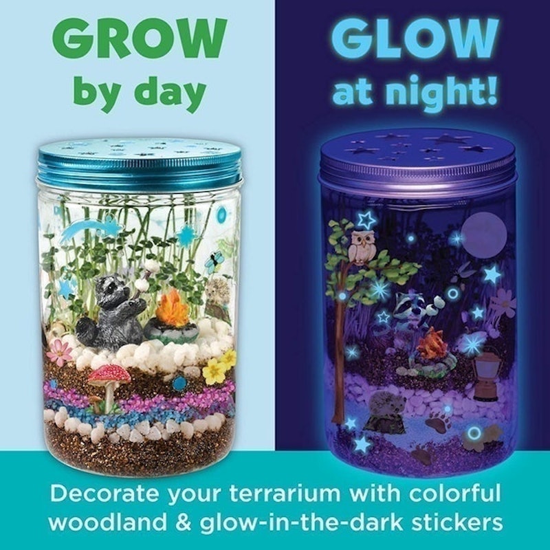 Grow 'N Glow Terrarium Kit 2