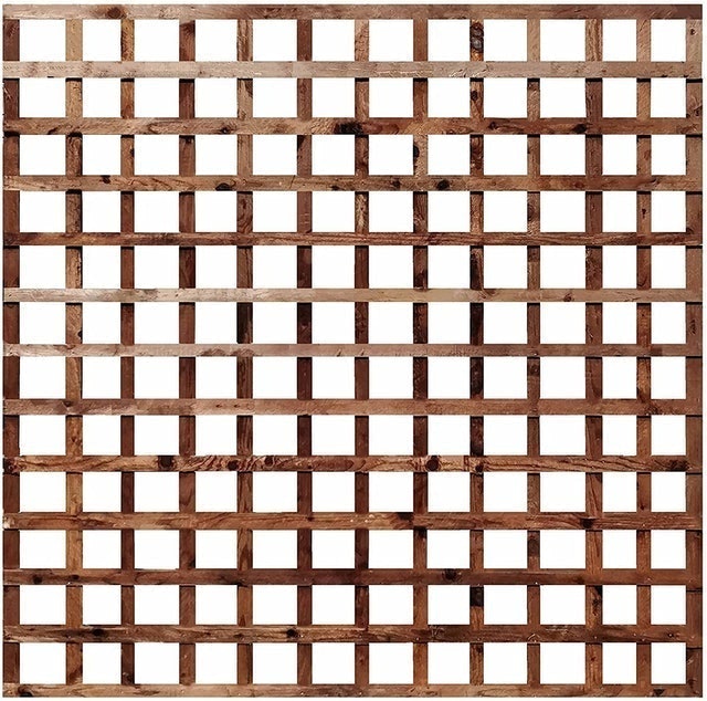 10 Best Garden Trellises UK 2024 2