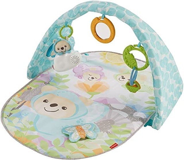 Butterfly Dreams Musical Playtime Gym 1