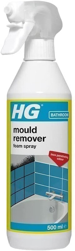 Mould Remover Foam Spray 1