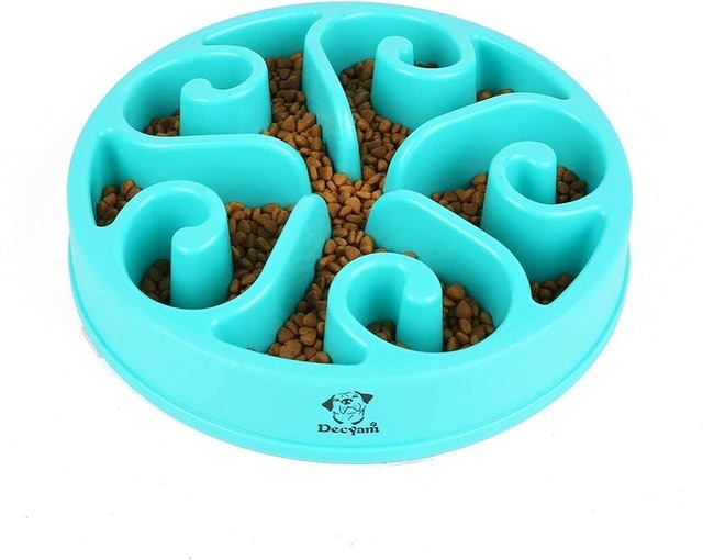 10 Best Slow Feed Dog Bowls UK 2024 5