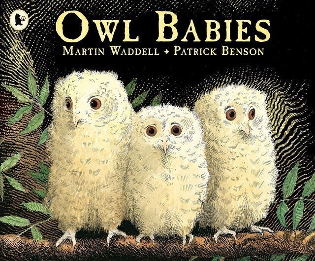 Owl Babies 1