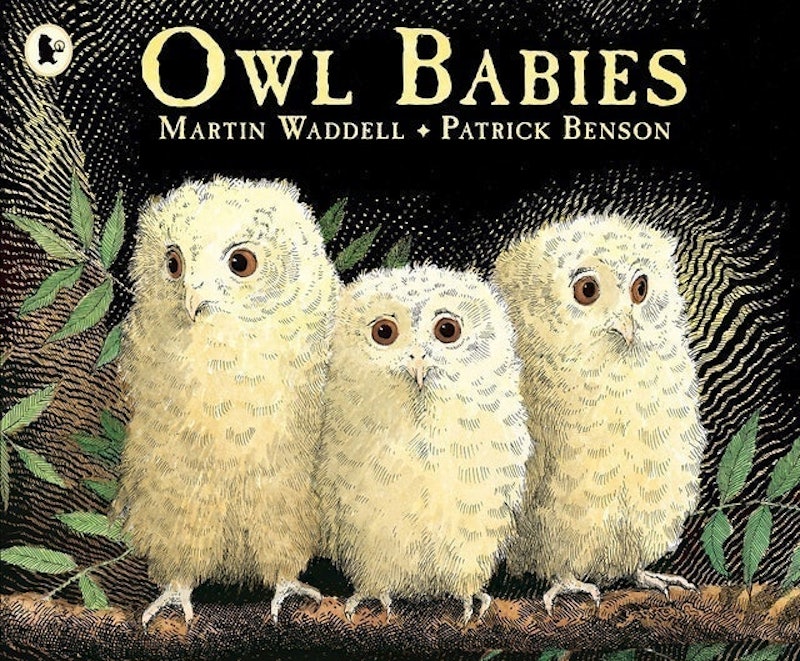 Owl Babies 1