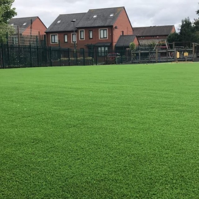 Realistic Looking Fake Lawn 2