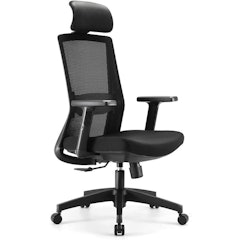 Ergonomic Home Office Chair