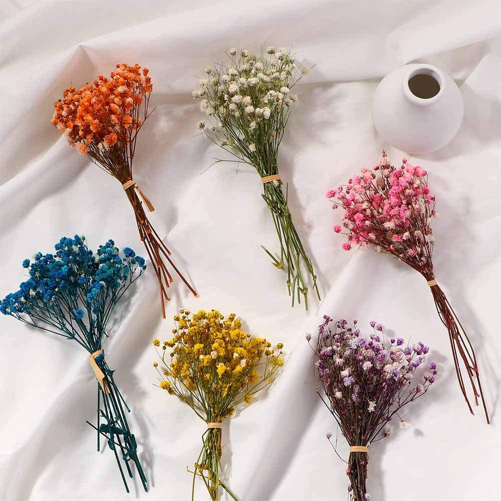 10 Best Dried Flowers and Grasses UK 2024 5