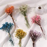 10 Best Dried Flowers and Grasses UK 2024 5