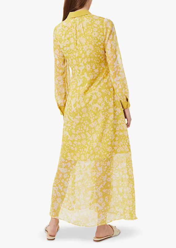 Claudine Floral Print Chiffon Shirt Dress 2