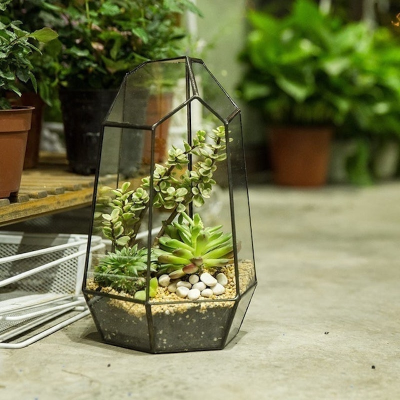 Glass Geometric Terrarium 3