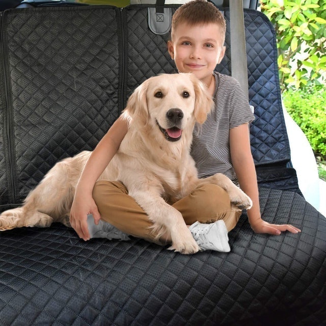 10 Best Dog Seat Covers UK 2024 | Kurgo, Rosewood and More 2