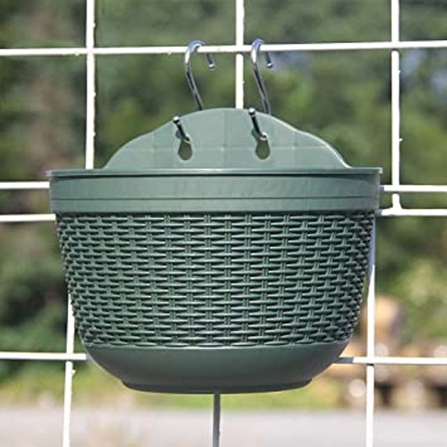Outdoor Hanging Basket 2