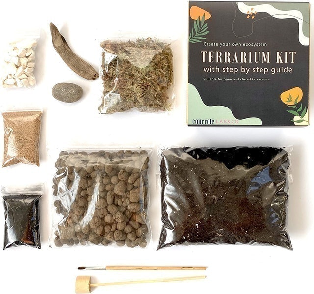7 Best Terrarium Kits UK 2024 5