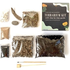 DIY Terrarium Kit