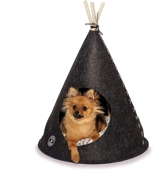 10 Best Christmas Presents for Dogs UK | Pedigree Lily's Kitchen and More 5