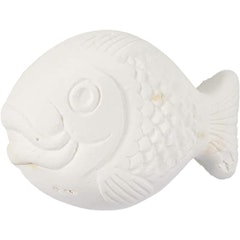 Cold Water and Tropical Fish Holiday Food