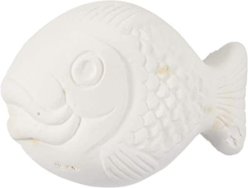 Cold Water and Tropical Fish Holiday Food 1