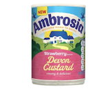 10 Best Custards UK | Ambrosia Oatly and More 4