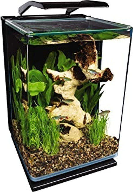 Portrait Glass LED Aquarium Kit 1