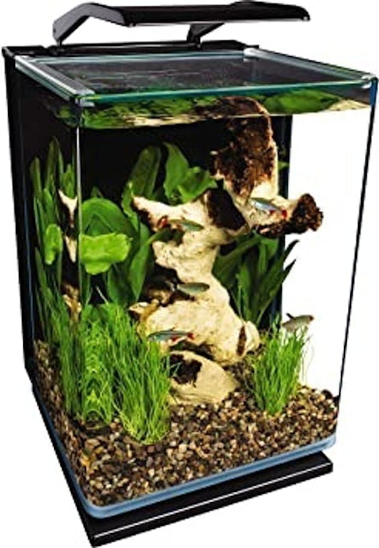 Portrait Glass LED Aquarium Kit 1