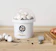 Carbeth Plants White Button Mushroom Grow Kit 1