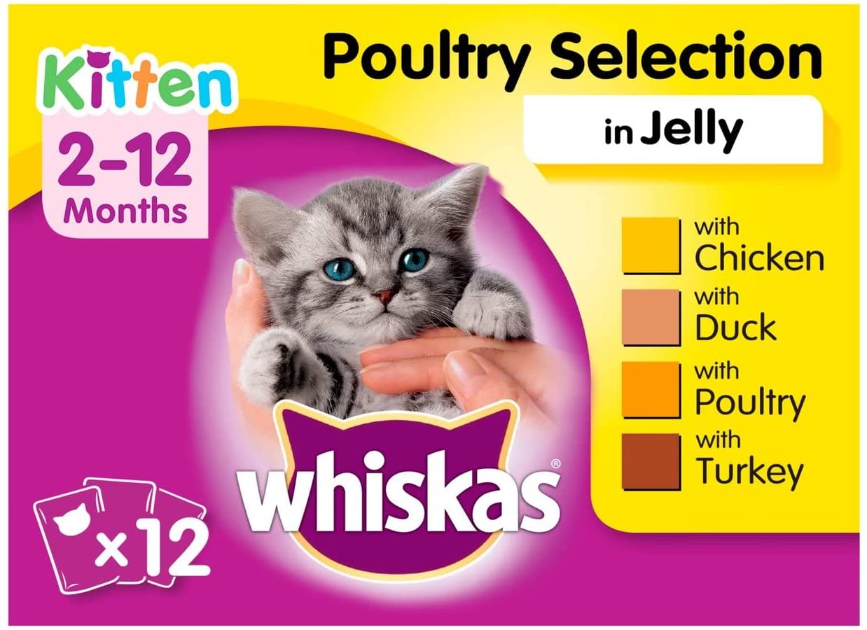 10 Best Kitten Food UK 2024 | Whiskas, Purina, Lily’s Kitchen and More 3