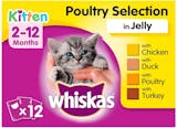 10 Best Kitten Food UK 2024 | Whiskas, Purina, Lily’s Kitchen and More 3