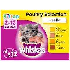 Kitten Wet Cat Food Pouches in Jelly