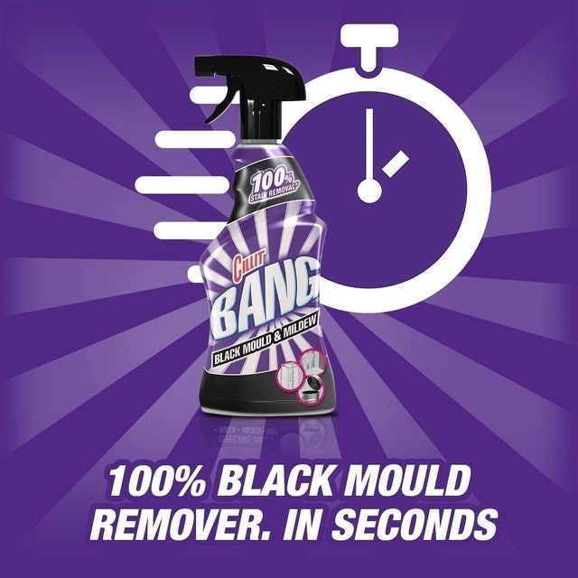 Black Mould Remover 2