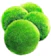 LUFFY/K2Aqua/Waitrose Marimo Moss Balls 1