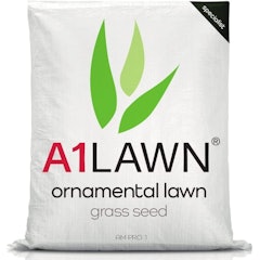 Ornamental Lawn Grass Seed