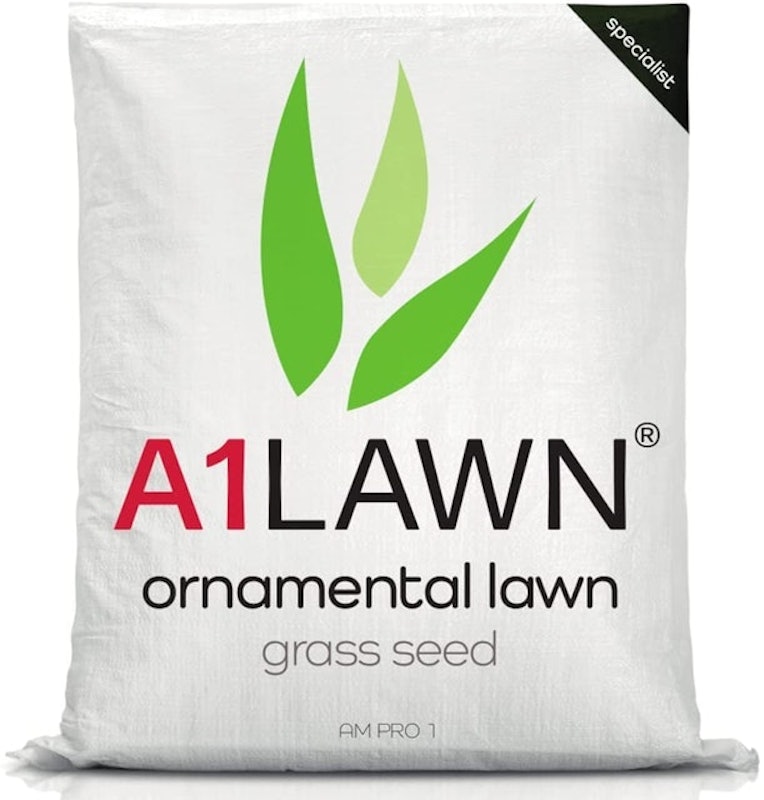 Ornamental Lawn Grass Seed 1